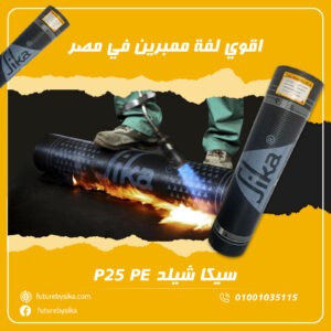 WhatsApp Image 2024-07-13 at 4.18.12 PM سيكا شيلد P25 PE